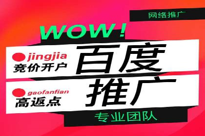 百度推广代运营案例：案例分享：传统行业逆袭之路